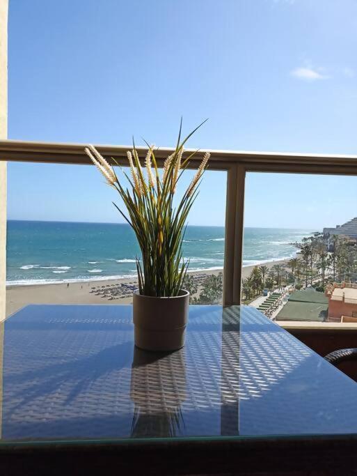 Estudio Miramarprimera Linea Playa Amazing Views เบนัลมาเดนา ภายนอก รูปภาพ